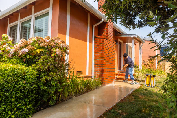  Callaway, MD Pressure Washing Pros
